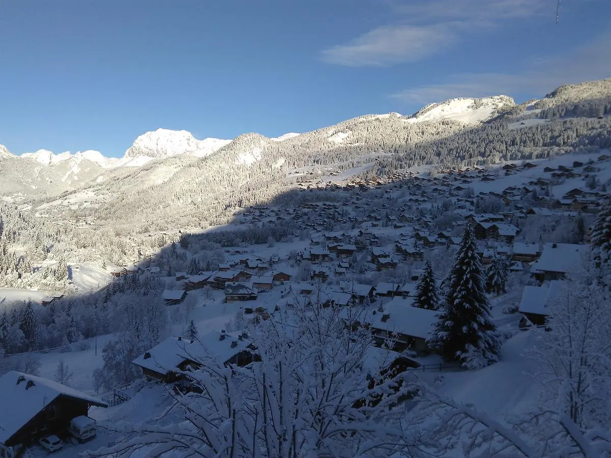 沙泰勒Le Panoramic公寓式酒店 法国